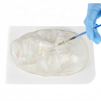 Modelo Facial Transparente para Inyecciones Viales y Nerviosas, para Entrenamiento de Vasos Sanguíneos, Modelo Facial Médico y Cosmético