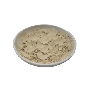 ผงโพลีแซคคาไรด์จากสารสกัดออริคิวลาเรีย - Product Image 1