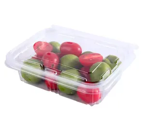 Kunden spezifische PET-Kunststoff-Verpackungs boxen aus klarem Obst in Lebensmittel qualität Versiegelter quadratischer Clamshell-Behälter mit Verschluss deckel