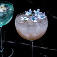 Verres à pied en cristal sans plomb pour cocktails et coupes à champagne, transparents, pour bars à domicile, salons et restaurants haut de gamme