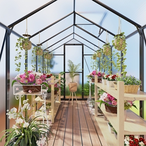 Ev Bahçesi Böcek Yetiştiriciliği için Açık Hava Modern Alüminyum Çerçeveli Mini Polikarbonat Sera - Product Image 4