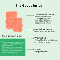 Bonbons gélifiés personnalisés OEM pour le métabolisme avec vinaigre de cidre de pomme, vitamine B12, soutien immunitaire naturel végétalien, gestion du poids et énergie