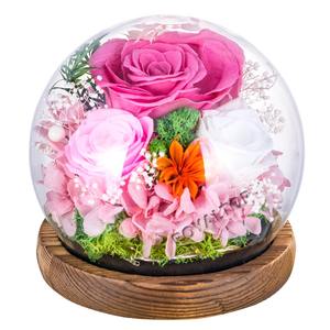 Vente en gros Boîte-cadeau de fleurs conservées à LED Trois roses pour toujours roses avec feuilles vertes et mousse dans une bouteille en verre - Product Image 1