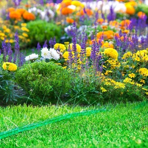 Betrouwbare groene flexibele PVC-tuinslang met anti-UV bescherming, veilige connectoren en lekbestendige aansluitingen voor tuinieren - Product Image 3