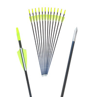 Vente directe usine transfrontalière : Flèches sans plumes en fibre de verre gainées de 6 mm, fournitures de tir à l'arc, arc recurve à tirage droit