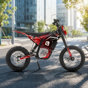 Preventa 2027: Motocicletas Eléctricas Deportivas de 72V, Todoterreno, con Batería de Litio y Motor sin Escobillas, Velocidad Máxima de 75 km/h - Product Image 3