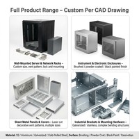 Gabinete Metálico de Acero Personalizado con Recubrimiento en Polvo para Instrumentos Industriales, Cepillado y Pasivación, Gabinete de Red Metálico