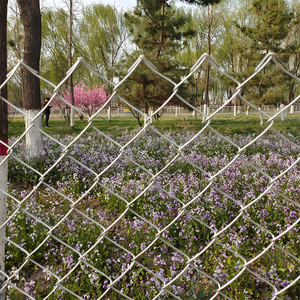 Hızlı Satılan Galvanizli Çelik Tel Örgü Çit Yapımı Düz Örgü Dokuma Çiftlik Çiti Estetik Galvanizli Tel Örgü Çit - Product Image 4