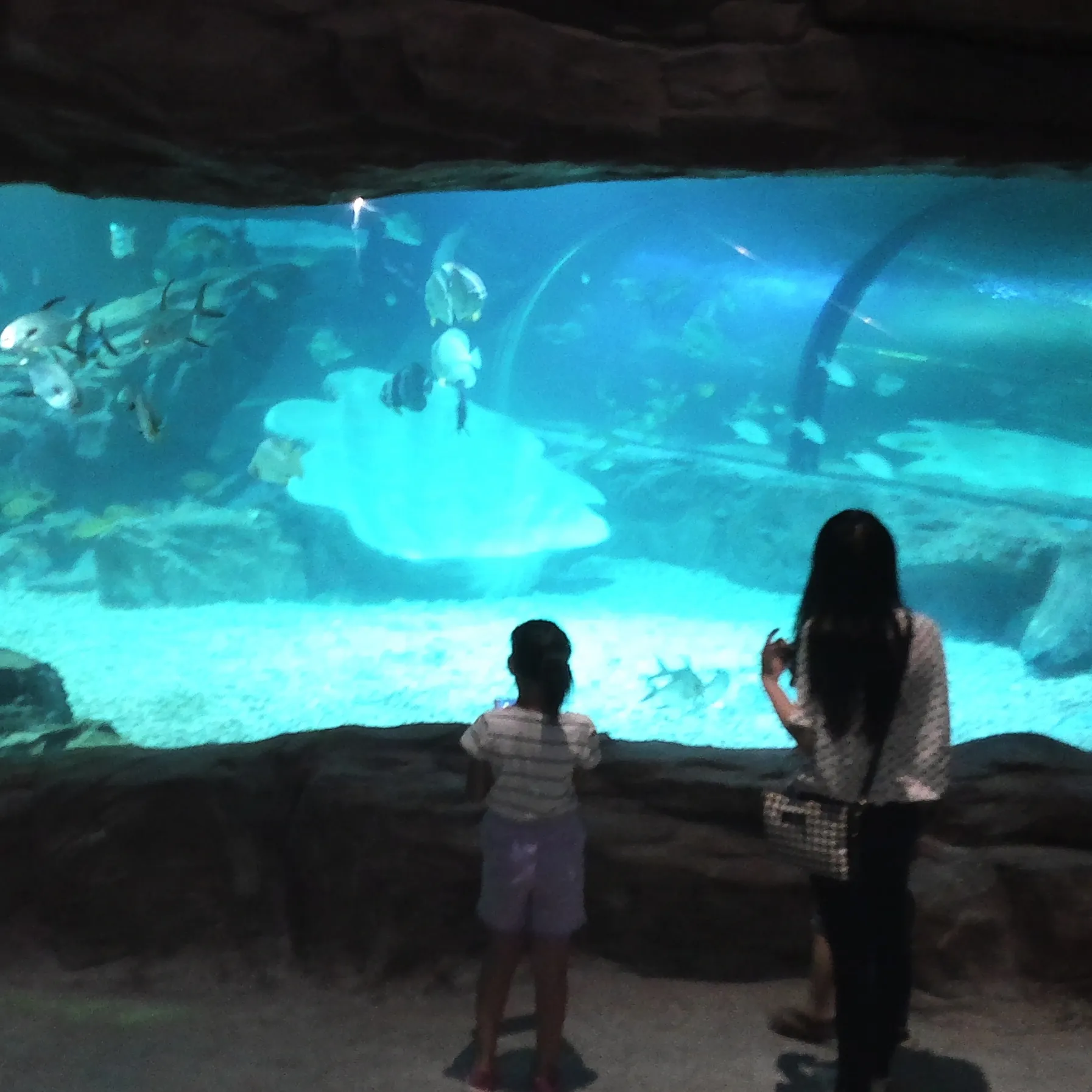 Acryl Aquarium Marine Fish Tank Prijs