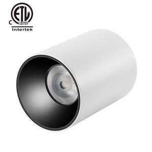 Đèn Âm Trần LED Gắn Trên Bề Mặt Được Phê Duyệt CETL Đèn Âm Trần Gắn Trên Bề Mặt Có Thể Điều Chỉnh Độ Sáng CRI 90Ra <span class=keywords><strong>Zigbee</strong></span> Cao 20W 30W 40W 50W 100W - Product Image 4