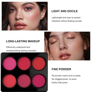 Nueva Paleta de Maquillaje al por Mayor 2026: Colorete Mate Impermeable de 6 Tonos, Tamaño Regular 54g, Estilo Europeo-Americano, Multicolor - Product Image 4