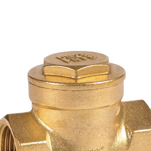 Guangdong Magnesium Special Brass Check Valve Straight-through Single-lobed Structure Water Pipe One-way Valve - Product Image 1
