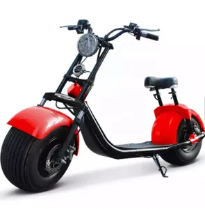 中国工厂2000w citycoco fat轮胎二手电动滑板车出售