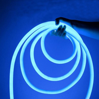 Lampe d'ambiance LED étanche pour extérieur, idéale pour l'éclairage paysager intérieur et de jardin - Bande lumineuse néon multicolore 24V