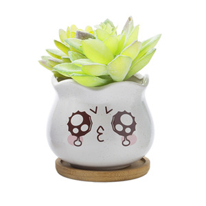 Chậu Hoa Trang Trí Trong Nhà Và Văn Phòng Chậu Trồng Cây Xương Rồng Chậu Hoa Gốm - Product Image 4