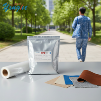 Poudre DTF TPU Yinghe 2026 Blanche 1KG – Poudre adhésive thermofusible blanche pour T-shirt