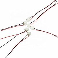 Bahan Transduser Keramik Piezo OEM 10x1mm untuk Produsen Peralatan Ultrasonik