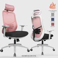 Chaise de bureau ergonomique haut de gamme avec dossier en maille respirante, accoudoirs 3D, réglage en hauteur, vérin à gaz classe 3, pivotante sur mesure