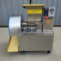 Diviseuse et Bouleuse de Pâte Commerciale Compacte Haute Capacité, Lames en Acier Inoxydable, Tension Universelle, Lames Multiples Incluses, Garantie 1 An
