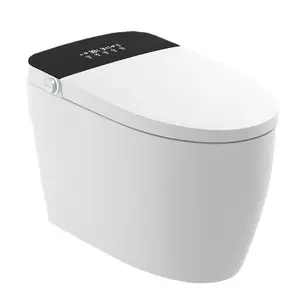 China Supplier Cheap western tankless black white bidet korean wall mounted smart toilet