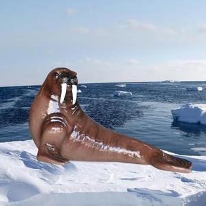 Fiberglass Simulated Sea Lion Sculpture <b>Large</b> Outdoor Floor Mount Animal Figure Decorative <b>Ornament</b> - Product Image 1