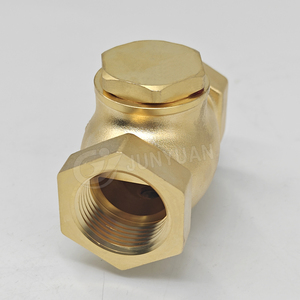 Vanne de retenue horizontale en laiton moulé de <span class=keywords><strong>1</strong></span>/<span class=keywords><strong>2</strong></span> po, <span class=keywords><strong>1</strong></span> po, 3/4 po, <span class=keywords><strong>1</strong></span> po et <span class=keywords><strong>1</strong></span>,5 po pour <span class=keywords><strong>compresseur</strong></span> <span class=keywords><strong>d</strong></span>'<span class=keywords><strong>air</strong></span>, vanne de retenue verticale forgée en ligne, vente en gros - Product Image 3