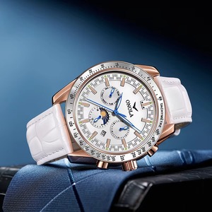 Drioshipping Luxury Watch Mechanical Customized Logo Waterproof Watches <b>Automatic</b> <b>Chronograph</b> Calendar Watch - Product Image 4