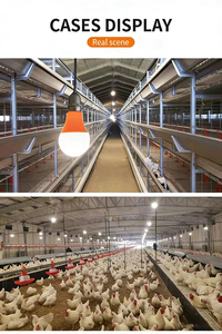 Lampada <span class=keywords><strong>LED</strong></span> Impermeabile per Allevamento di Polli, Tacchini e Suini, Dimmerabile 0-100%, Durata 50.000 Ore, Illuminazione per Allevamento - Product Image 5