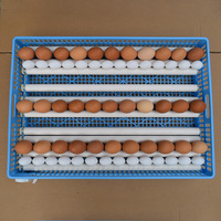 Incubateur solaire pour volailles 192 œufs, retournement automatique, taux d'éclosion élevé 98%, nouveau, facile à utiliser, taille moyenne, pour poulets, canards, oies