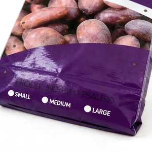 Bolsas de Polipropileno Laminado Personalizadas para <span class=keywords><strong>Cemento</strong></span> en Polvo con Fondo de Bloque y Válvula Interna, Productos Químicos de China - Product Image 6