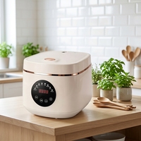 Autocuiseur multifonction GB-MC365 avec minuterie numérique, 5L, 900W, boîtier en plastique, cuve intérieure en aluminium 360g, cuiseur vapeur, cuillère, tasse à mesurer