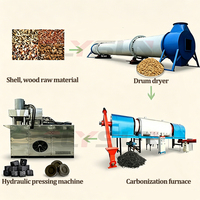 Línea de Producción de Carbón para Narguile de Alto Rendimiento para Carbonización y Briquetización de Mosto de Oliva y Aserrín, Proyecto Llave en Mano Completo