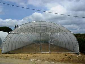 Túnel de película PE de invernadero agrícola de un solo tramo verde de una hoja con construcción de acero - Product Image 5