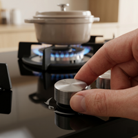 Table de cuisson à gaz encastrable 5 brûleurs en verre trempé avec allumage électrique et dispositif de sécurité pour usage hôtelier (vente en gros)