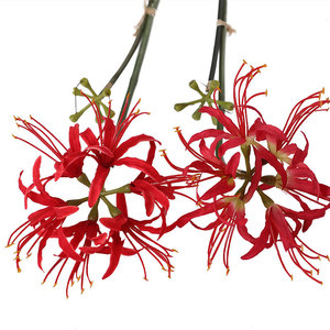 Vente en gros <span class=keywords><strong>de</strong></span> tissu <span class=keywords><strong>de</strong></span> soie artificielle avec des fleurs au toucher réel <span class=keywords><strong>Mandala</strong></span> rouge <span class=keywords><strong>fleur</strong></span> <span class=keywords><strong>de</strong></span> sable petit bouquet <span class=keywords><strong>de</strong></span> <span class=keywords><strong>lotus</strong></span> cramoisi - Product Image 1