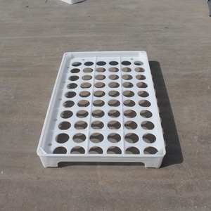 Hot <strong>Selling</strong> <strong>Plastic</strong> Egg <strong>Tray</strong> 60 Holes <strong>Plastic</strong> Egg Packing <strong>Tray</strong> Wholesale Price <strong>Plastic</strong> Chicken Egg <strong>Tray</strong> Incubator Hatching <strong>Tray</strong> - Product Image 1