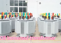 Transformateur de distribution de puissance triphasé à double enroulement série S13, niveau 10 kV, pour les entreprises et les zones à forte teneur en poussière
