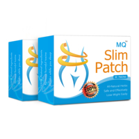 Produits les plus vendus 2025 OEM Nature Herbs Patch Fat Burning Minceur Plâtre