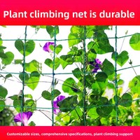 Klimplantnetten Groene Tuinbouwgaas Voor Thuisgebruik voor Passievruchten Druiven Komkommers Andere Klimplanten Oorsprong China