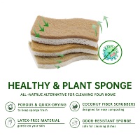 Lot de 12 éponges de cuisine biodégradables à base de plantes en cellulose, noix de coco, éponge à récurer