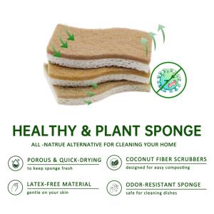 12 PACK Biologisch abbaubare natürliche Gerichte Küchen schwämme Kompost ierbarer pflanzlicher Cellulose-Kokosnuss-Walnuss-Wäscher-Schwamm - Product Image 6