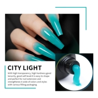 Gel de construction professionnel OEM personnalisé avec logo, couleurs unies, UV, polyacrylique, gel dur, pour extension d'ongles, usage en salon, vente en gros