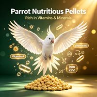 Nourriture pour oiseaux, granulés nutritifs pour perroquets, alimentation riche en énergie et faible en matières grasses pour les canaris, les cockatoos, les conures solaires |   Personnalisable, disponible en OEM