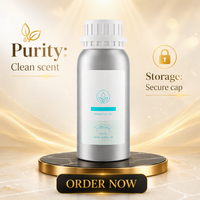 Recharges en gros de 100 ml d'huile parfumée française pour diffuseur d'arômes, parfum longue durée, portable, en plastique