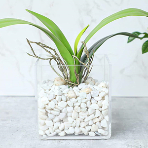Table de bureau à domicile <span class=keywords><strong>Vase</strong></span> à fleurs <span class=keywords><strong>carré</strong></span> en acrylique, Arrangement décoratif Simple et créatif - Product Image 1