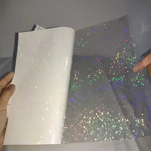 레이저 찬 박판 A4 크기 장 및 Rolls 투명한 홀로그램 박판으로 만드는 영화