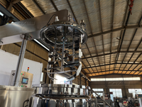 Mélangeur Disperseur à Cisaillement Élevé Homogénéisateur Machine de Production de Peintures et Revêtements Pompe Moteur Qualité Alimentaire Roulement Chimique SUS316L