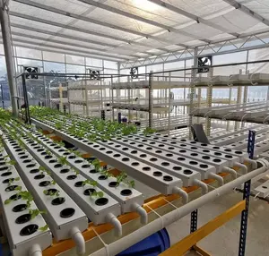 100*50 mm Agro Farm Greenhouse Indoor Agriculture Food Grade PVC Hydroponic Growing System Nft Hydroponic System