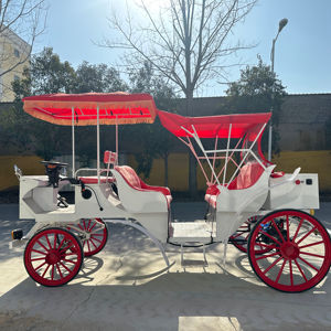 Proveedor Chino de Carruajes de Boda de Alta Calidad - Product Image 1