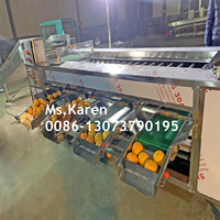 Hoogwaardige sorteermachine voor groenten en fruit, geschikt voor ronde en lang ovale producten, 3-8 sorteringen